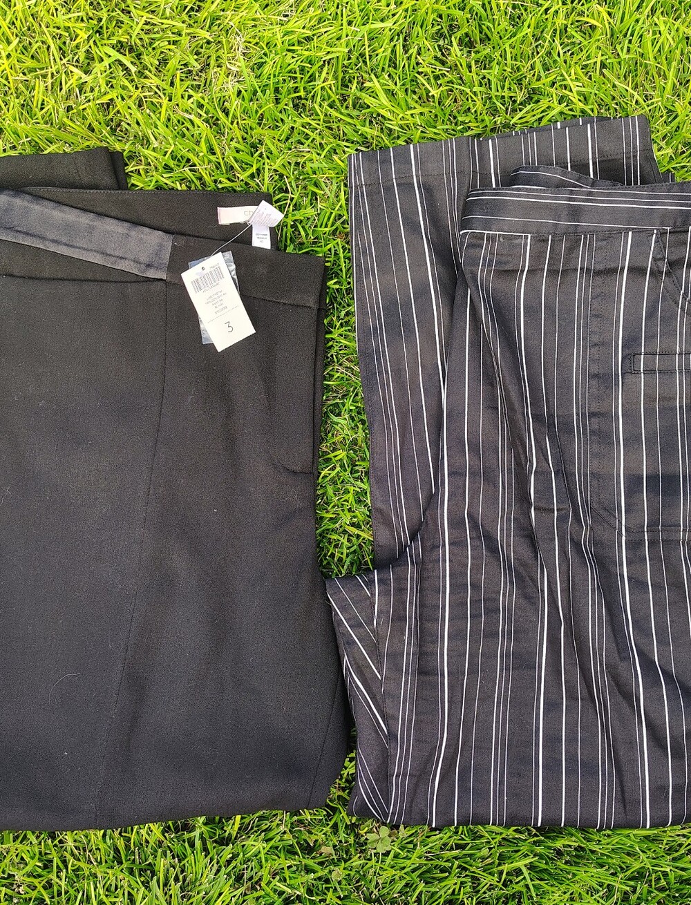 Chicos Size 3 (US 16) Women's Slacks Lot